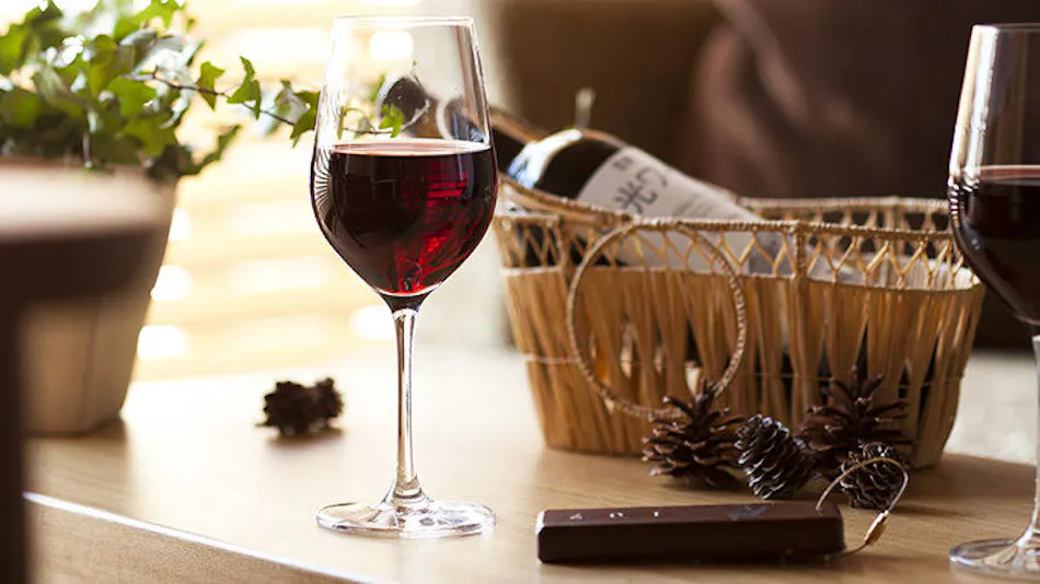 Okunikko Forest Hotel