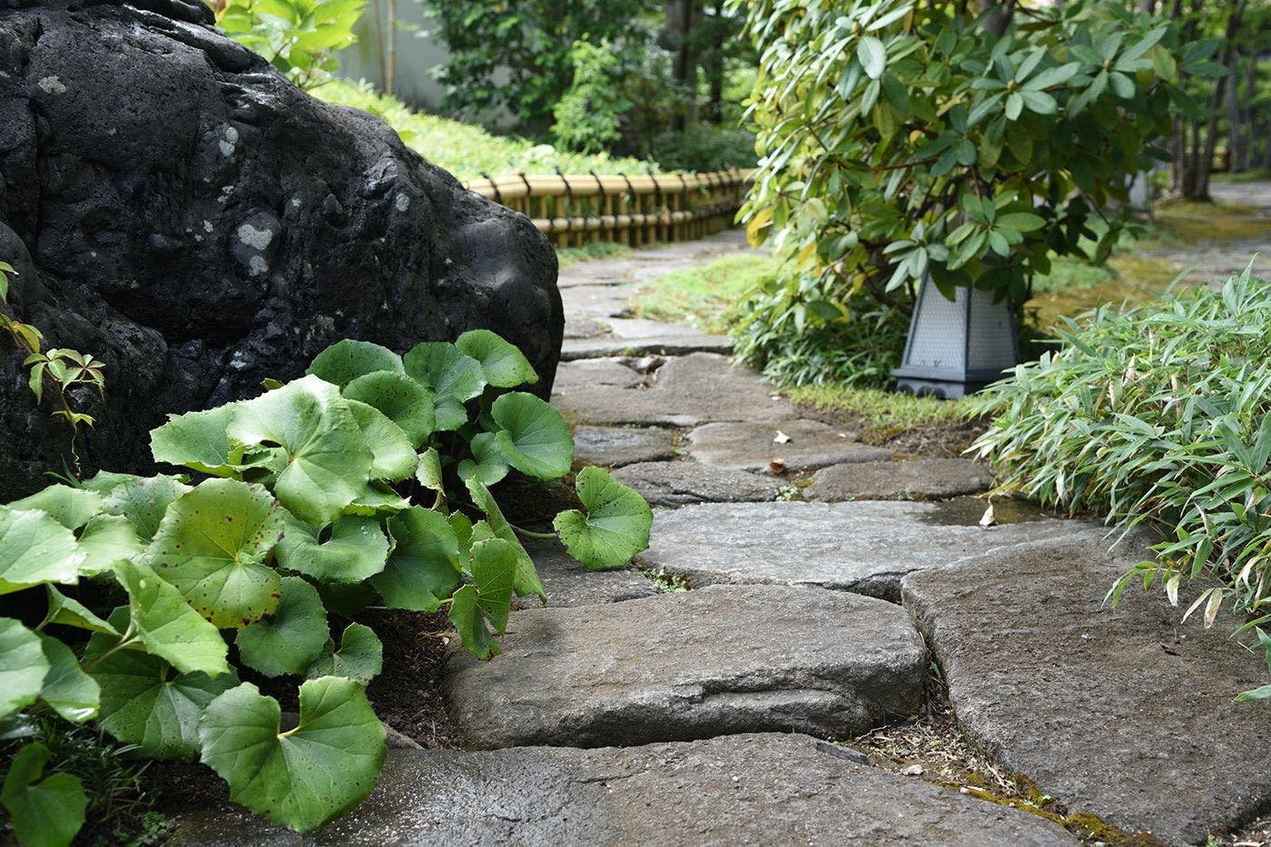 Di dalam area properti