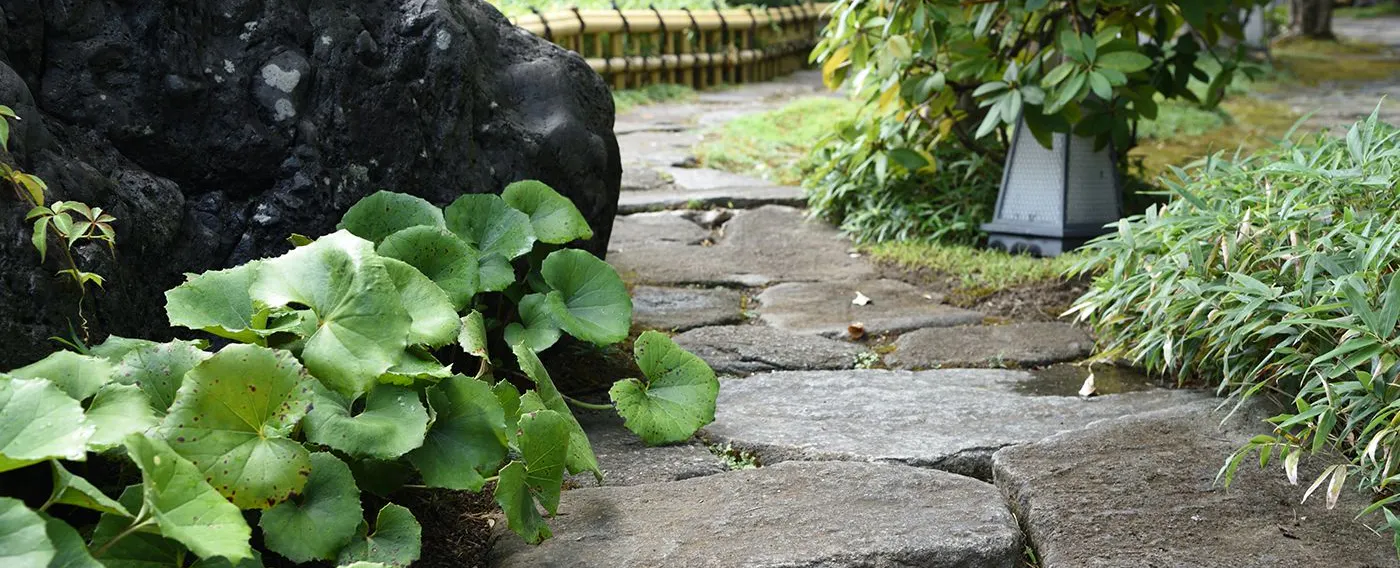 Di dalam area properti