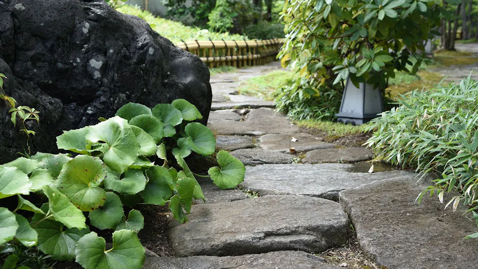 Ryotei Ryokan Yasui