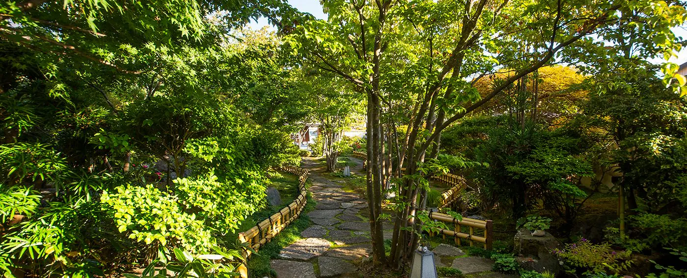 Di dalam area properti