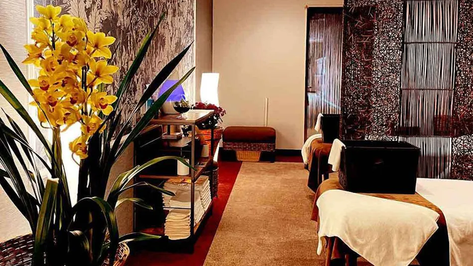 Camel Hotel Resort