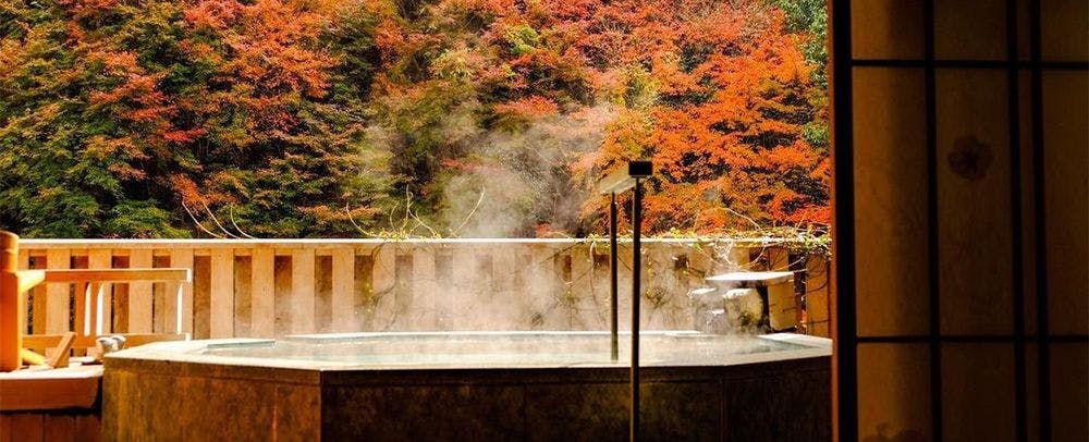 ใบไม้เปลี่ยนสี