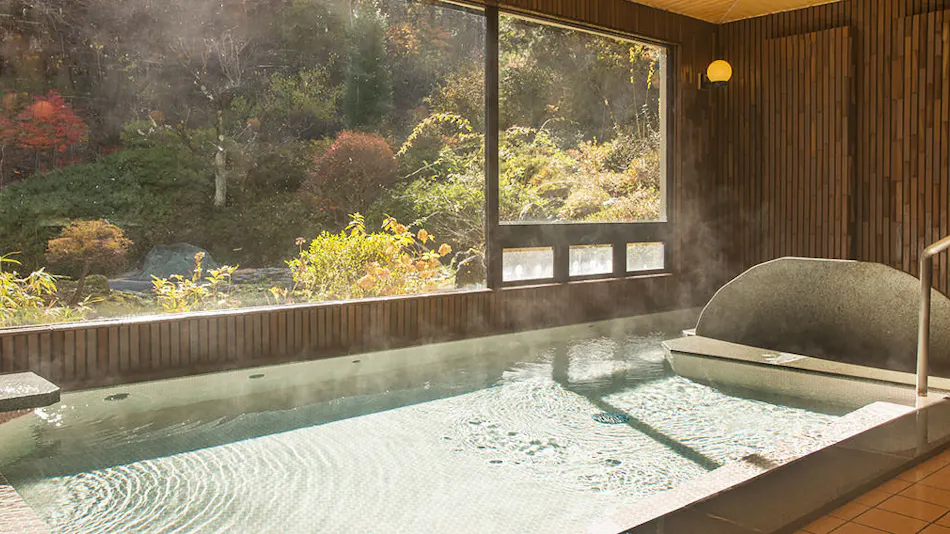 Hirugami Onsen Shiki no Ori Hanaya