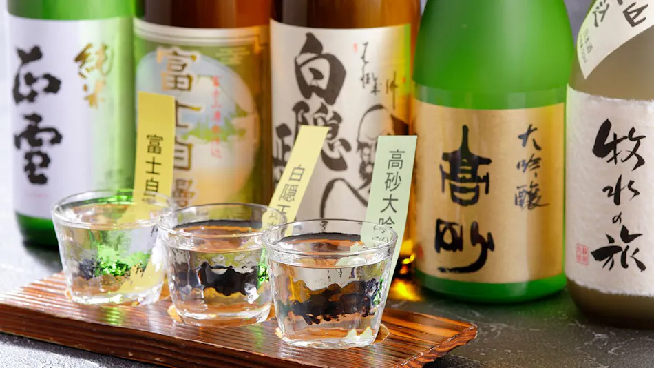 Toi Fujiya Hotel