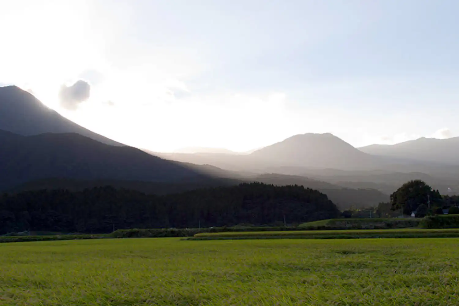 ทิวทัศน์