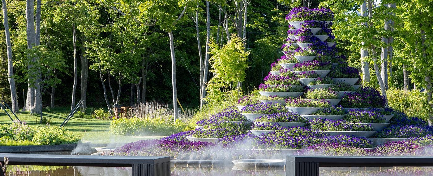 ドレスガーデン