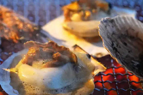 ไคเซกิย่างถ่าน