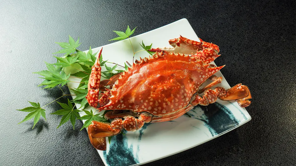 Tara-dake Onsen Kani Goten