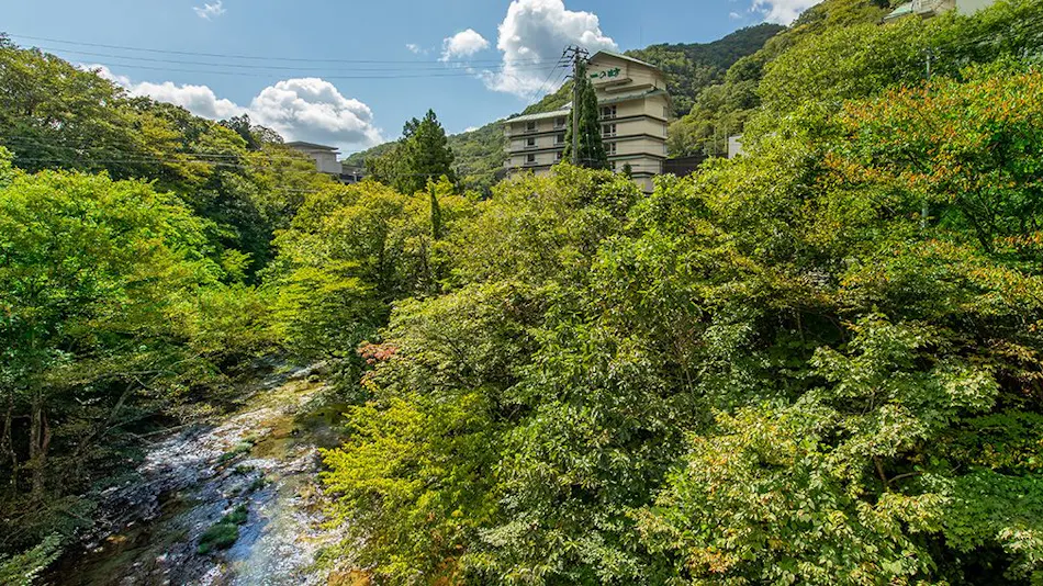 Sendai Sakunami Onsen Yuzukushi Salon Ichinobo