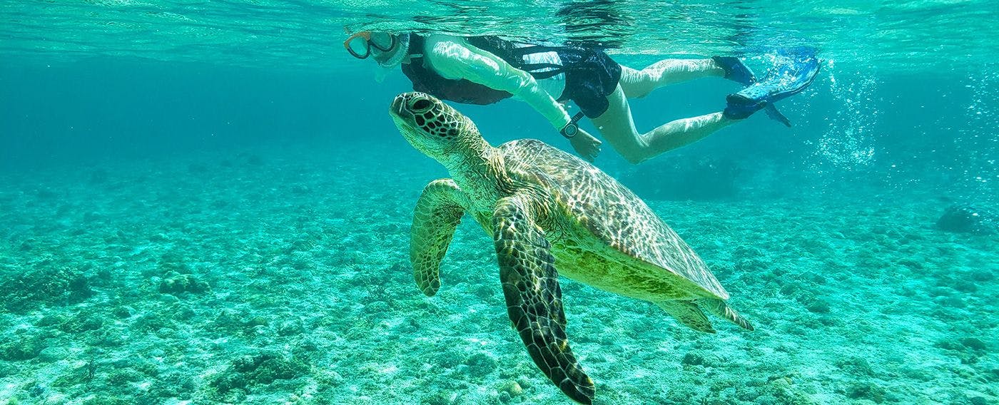 เพลิดเพลินกับกิจกรรมทางทะเลหลากหลายพร้อมสัมผัสความงดงามของน้ำทะเลสีฟ้าแห่งมิยาโกะ