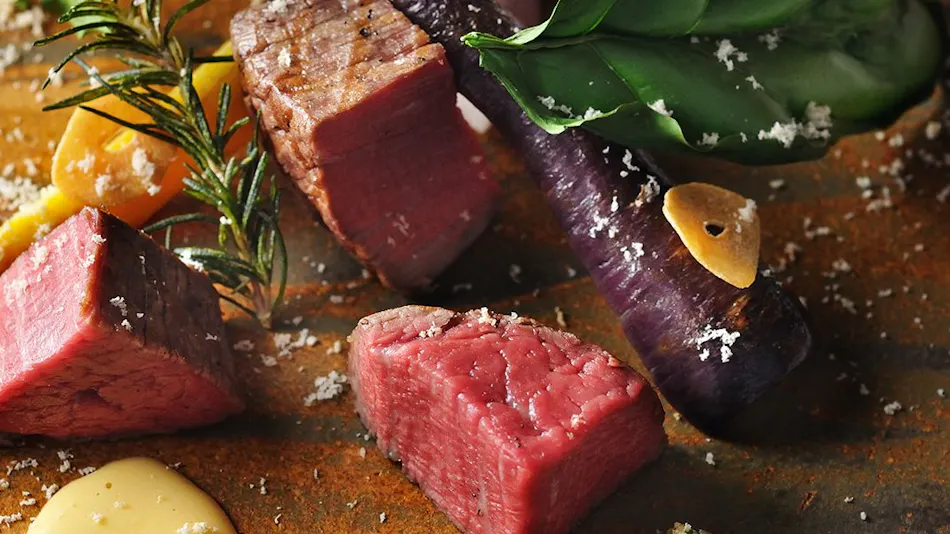 Hoshino Resorts RISONARE Nasu