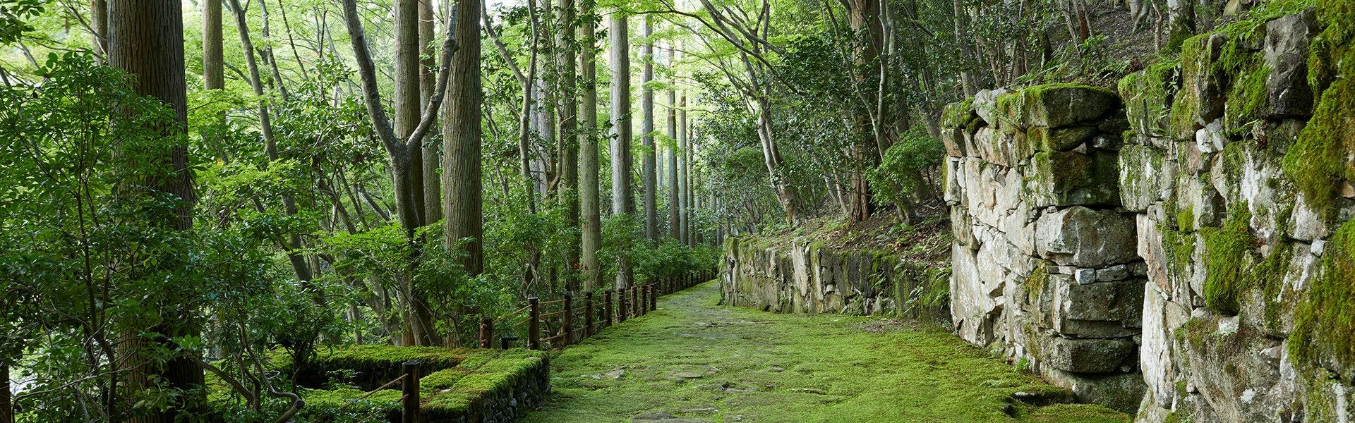京都のカップル 夫婦におすすめのホテル 旅館 選 宿泊予約は 一休 Com
