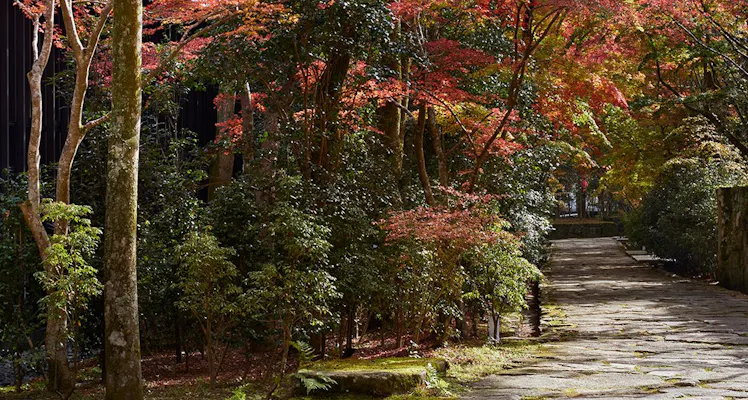 近畿の温泉地のカップル 夫婦におすすめのホテル 旅館 20選 宿泊予約は 一休 Com