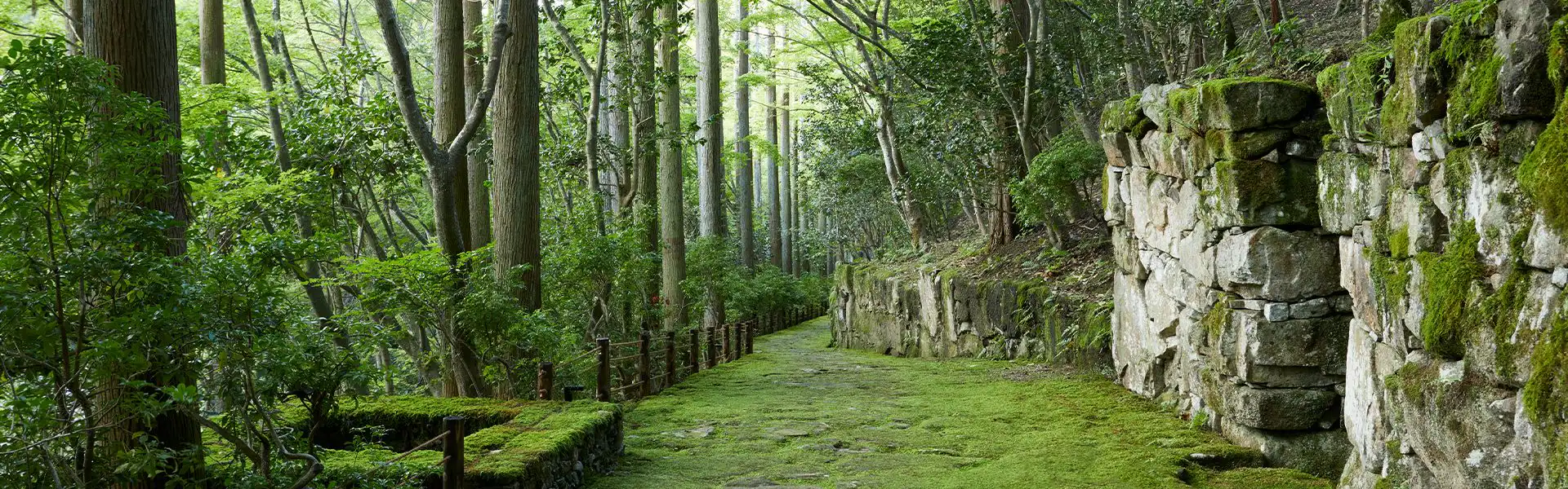 散策路
