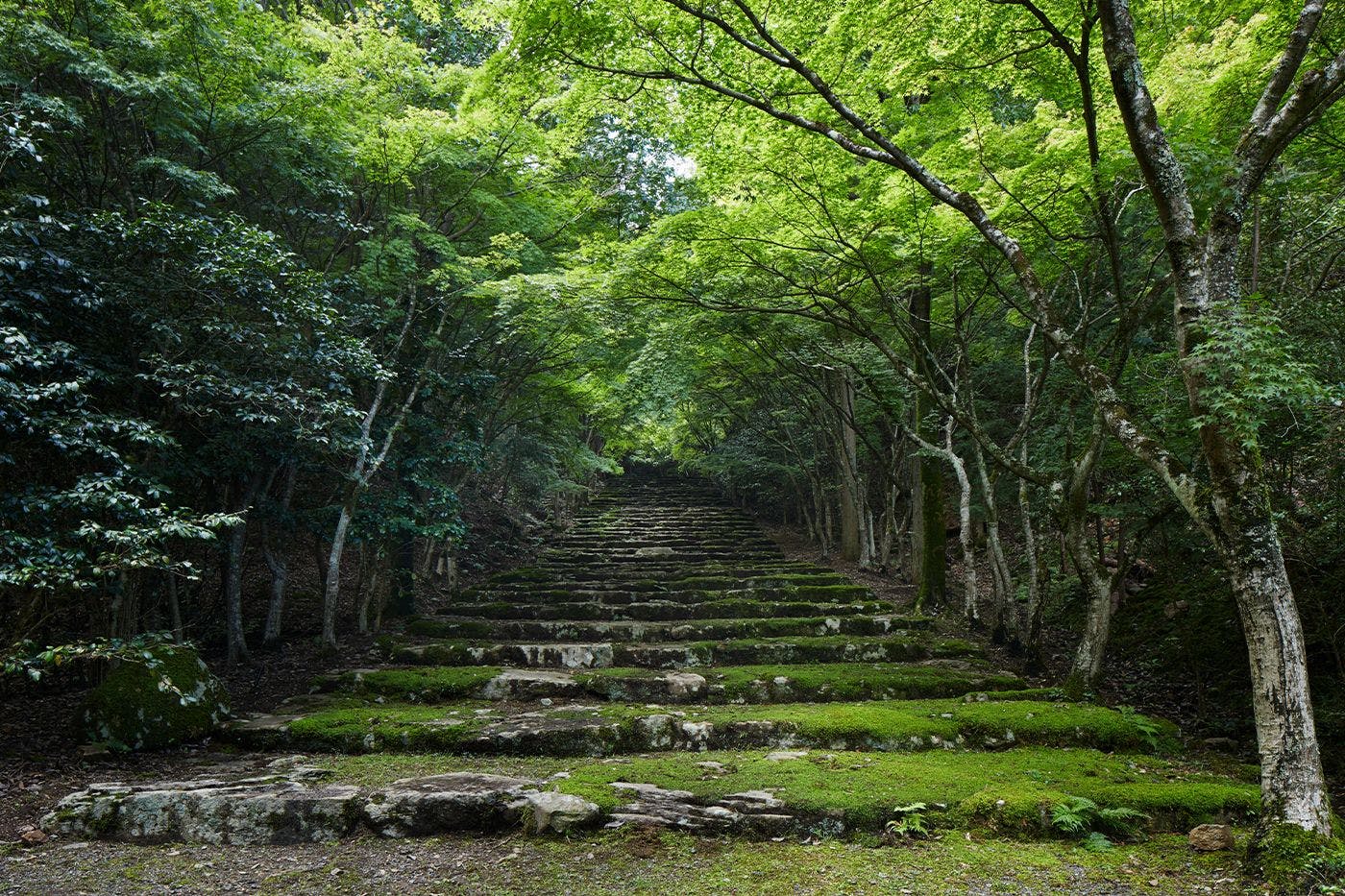本阿弥光悦ゆかりの芸術文化の地