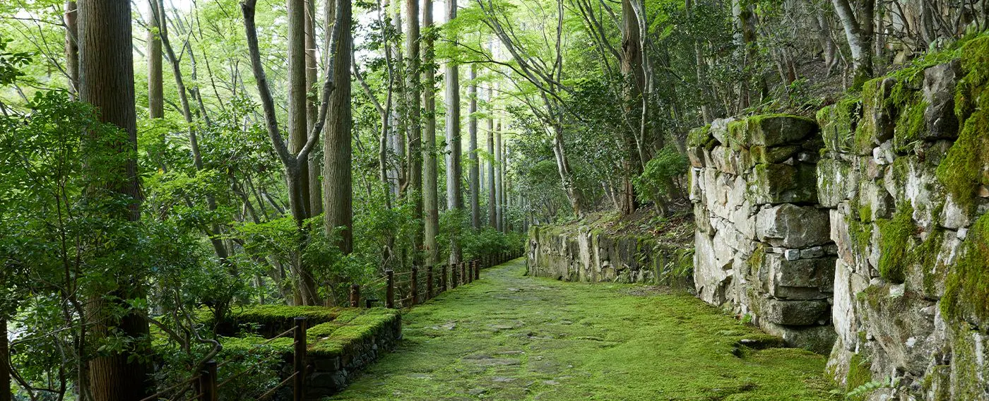 本阿弥光悦ゆかりの芸術文化の地
