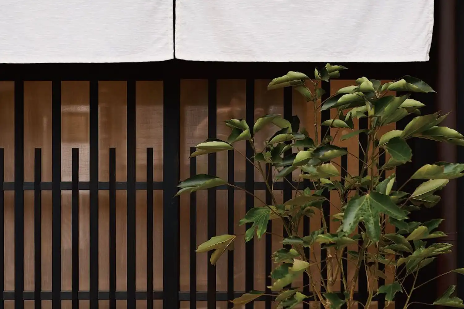 ตัวอย่างห้องพัก