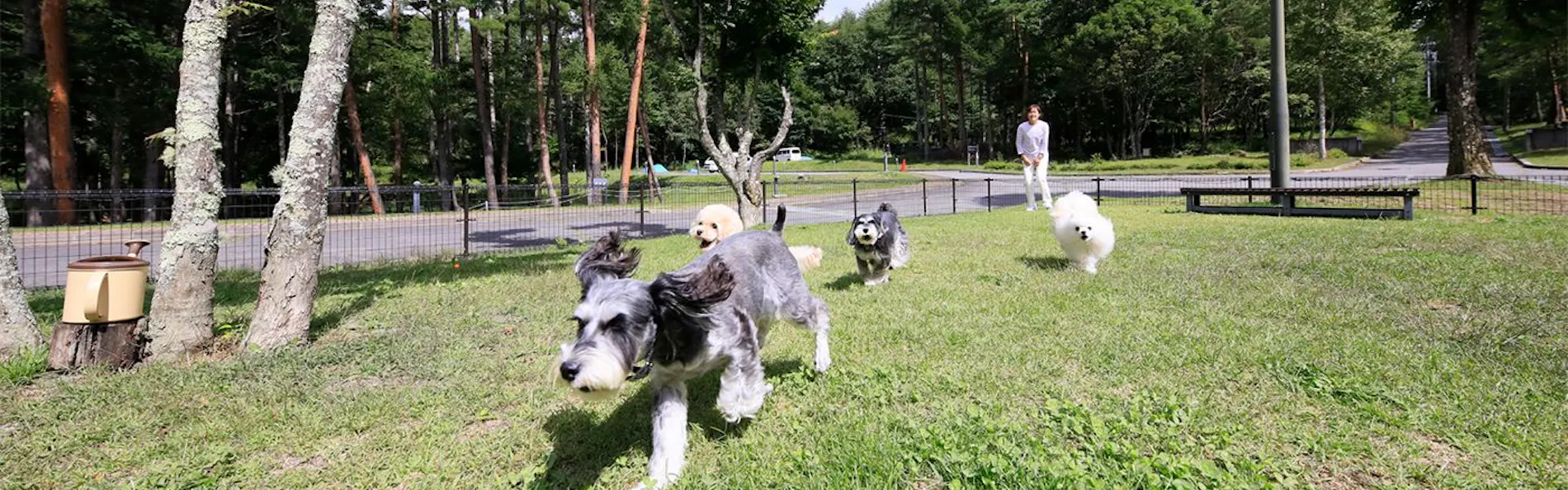 ゆとりろ蓼科ホテルwith DOGS