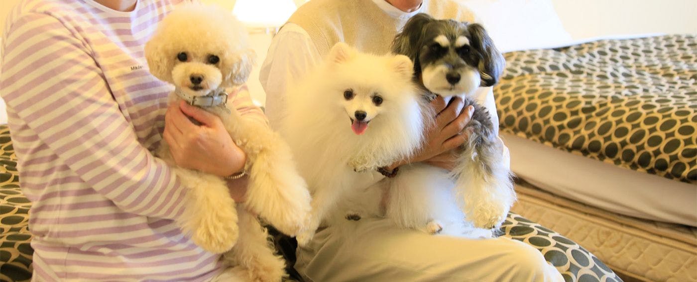 Yutorelo Tateshina Hotel with DOGS