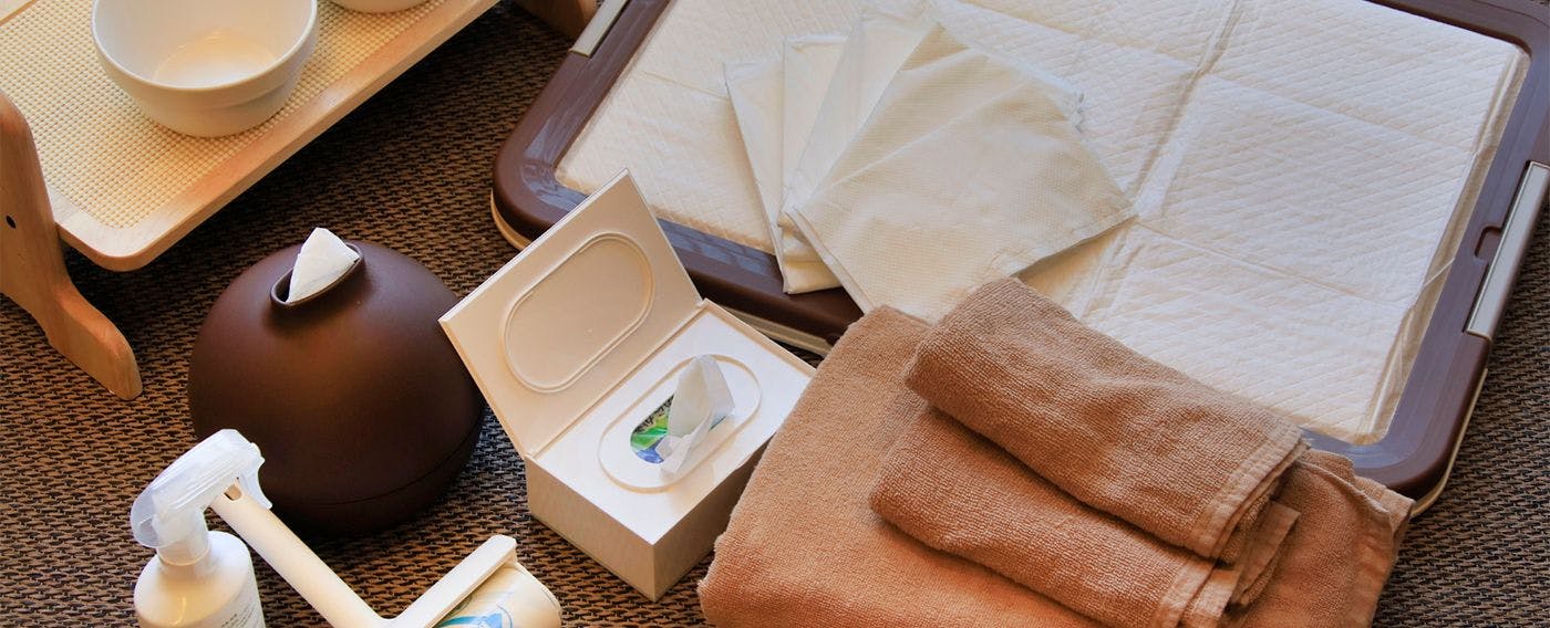 Yutorelo Tateshina Hotel with DOGS