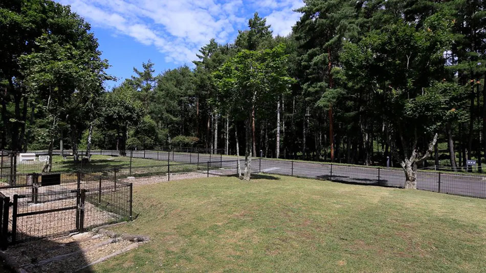 Yutorelo Tateshina Hotel with DOGS