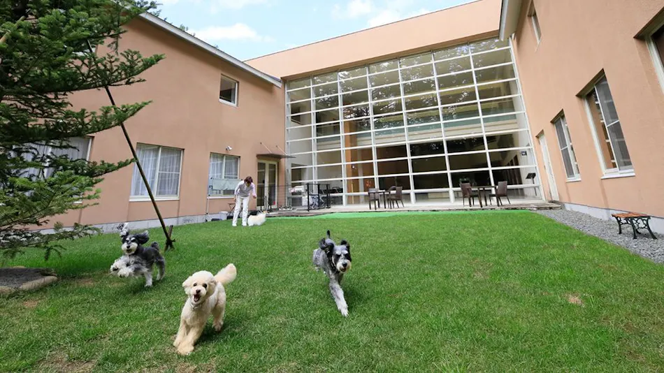 Yutorelo Tateshina Hotel with DOGS