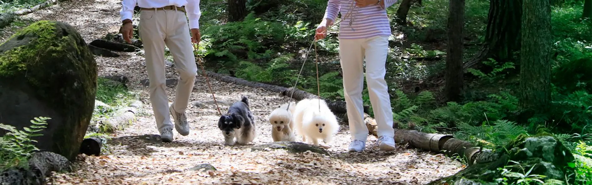 ゆとりろ蓼科ホテルwith DOGS