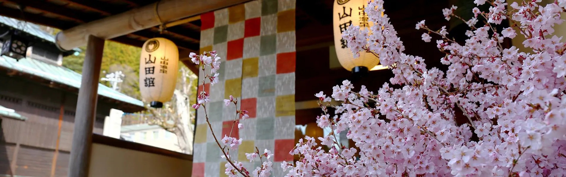 松川渓谷に佇む宿 信州山田温泉 山田館