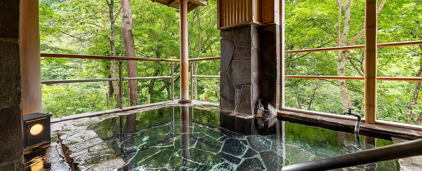 源泉かけ流しの湯