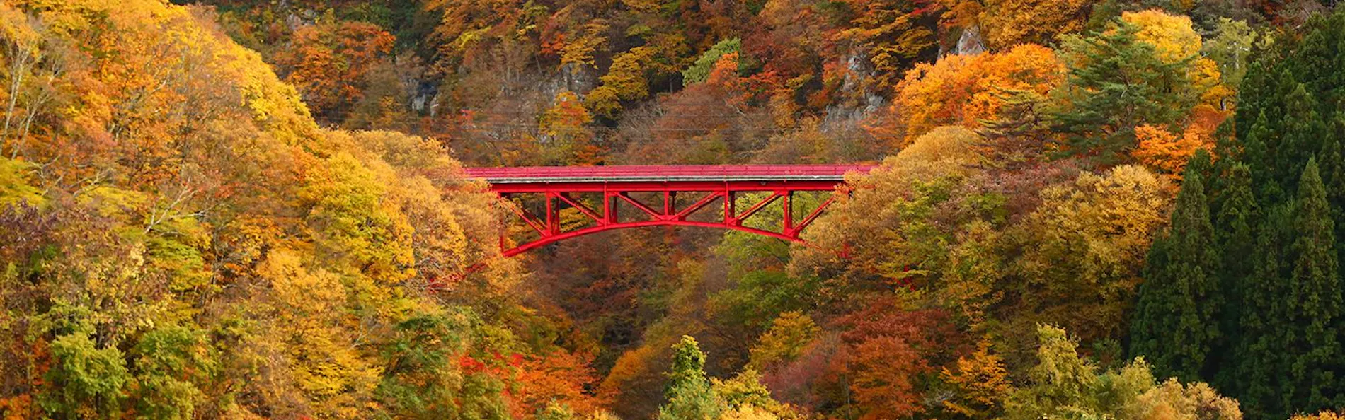 松川渓谷に佇む宿 信州山田温泉 山田館