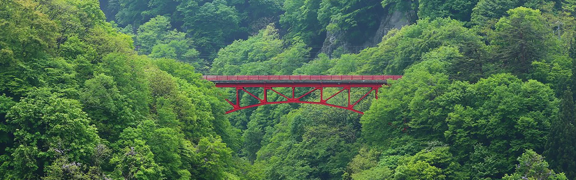 松川渓谷に佇む宿 信州山田温泉 山田館