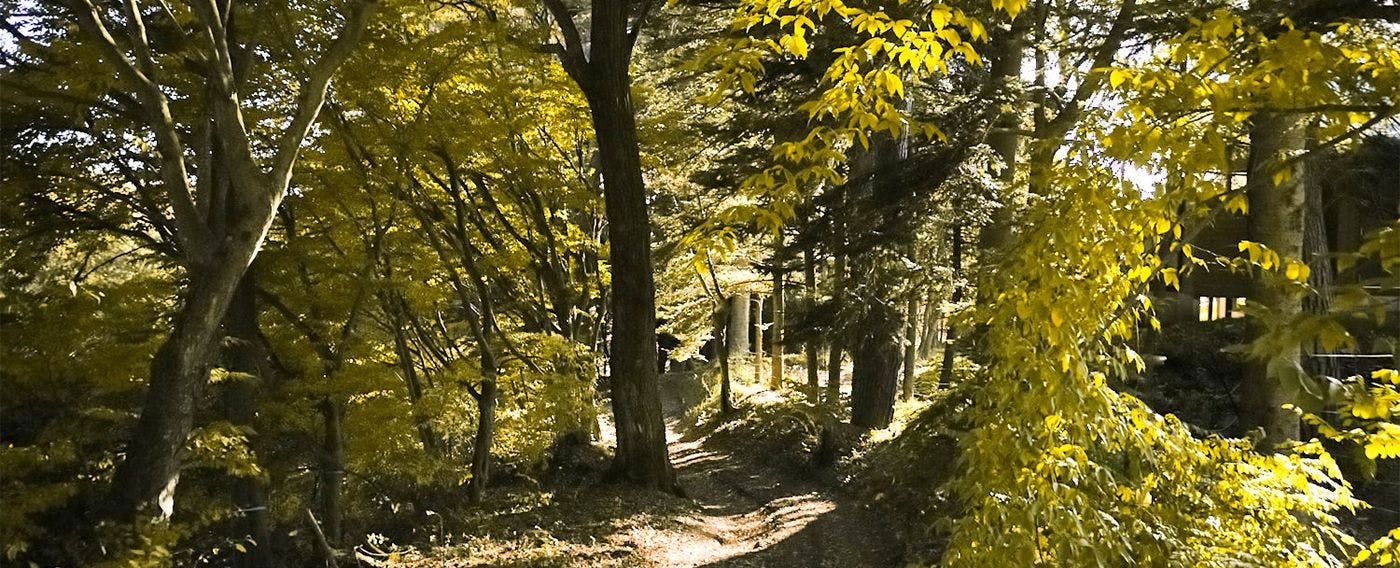 THE HIRAMATSU 軽井沢 御代田