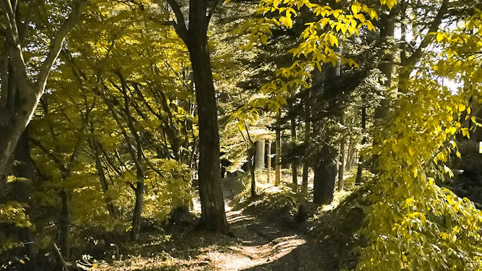 THE HIRAMATSU Karuizawa Myota