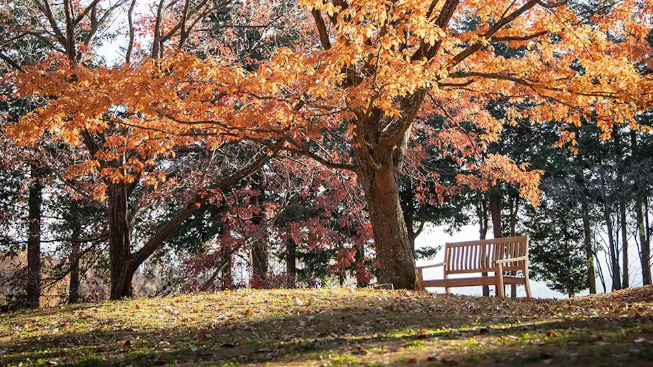 THE HIRAMATSU Karuizawa Myota