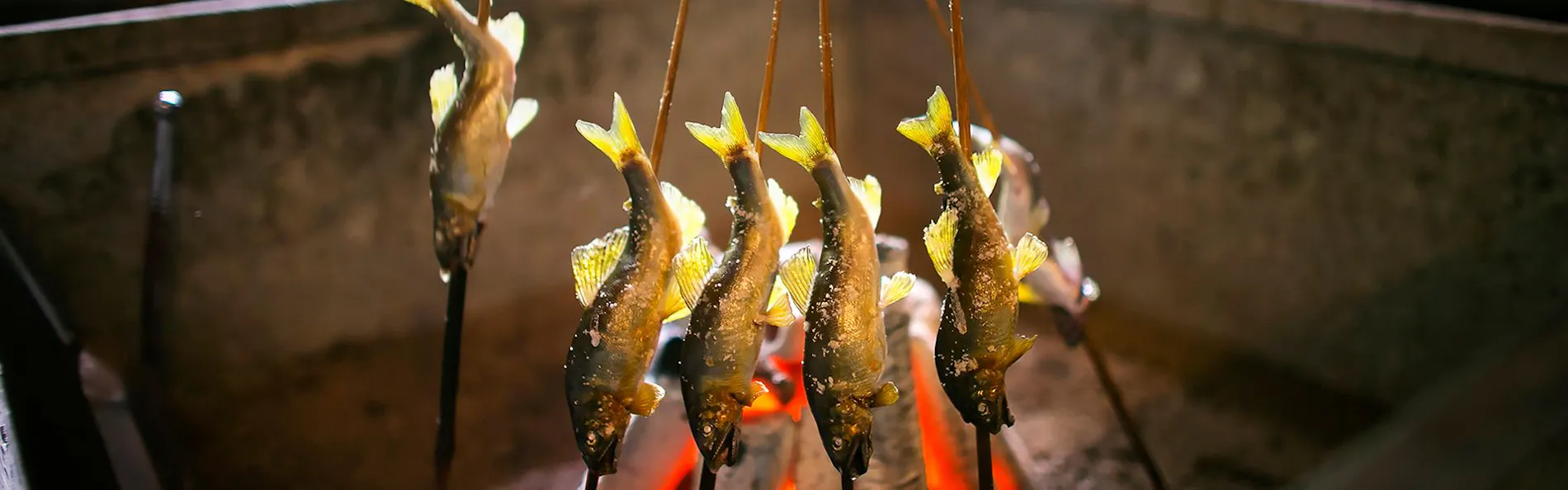 川魚・山菜料理 和田屋