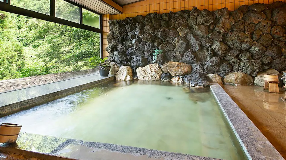 River Fish & Mountain Vegetable Cuisine Wada-ya