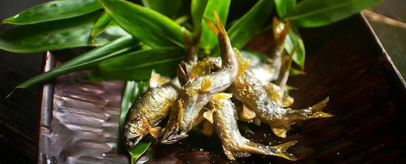 川魚・山菜料理　和田屋