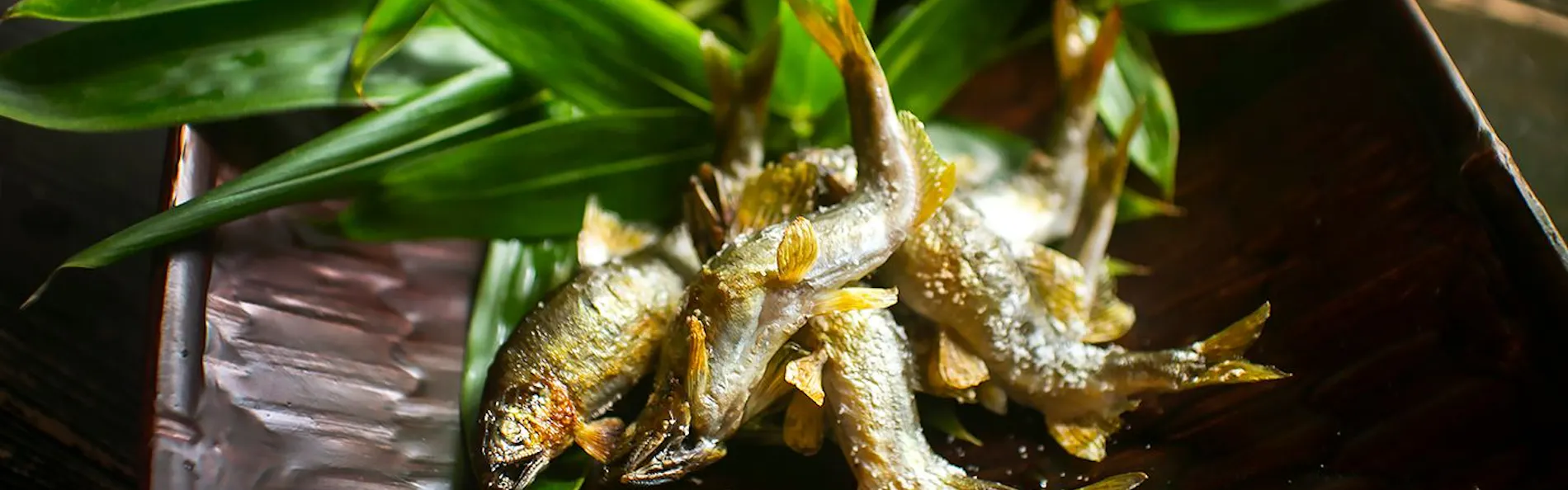 川魚・山菜料理 和田屋