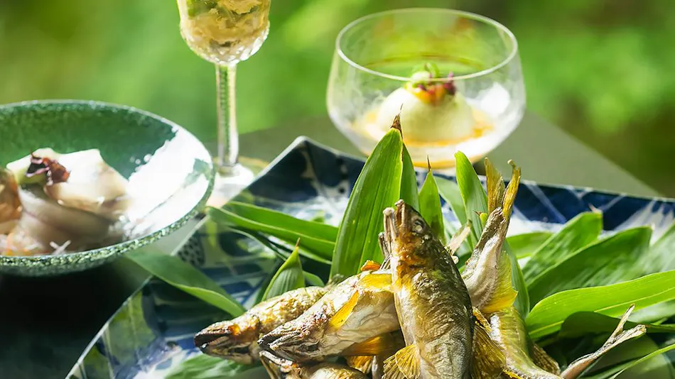 River Fish & Mountain Vegetable Cuisine Wada-ya