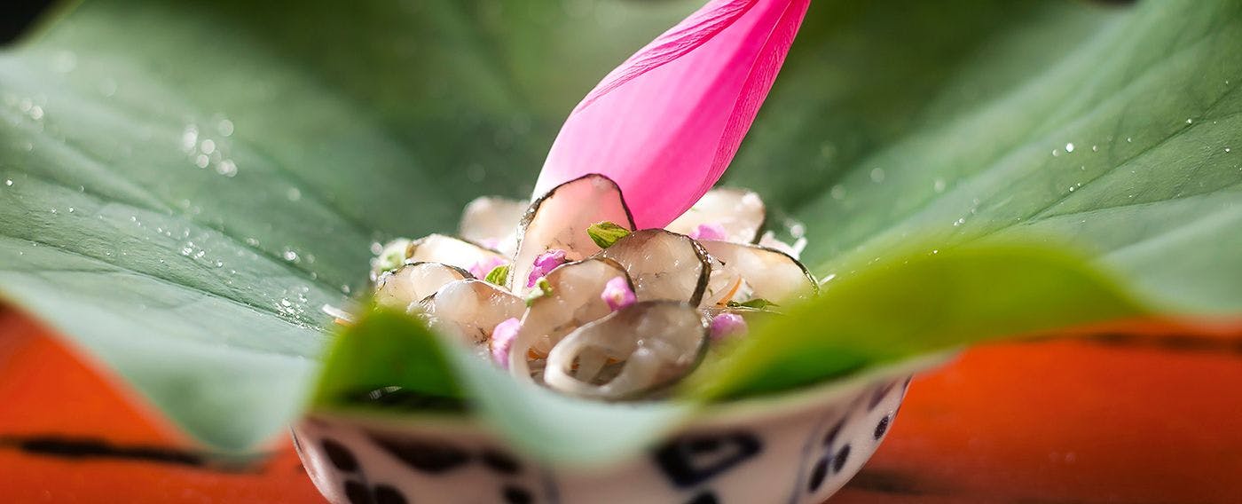 川魚・山菜料理　和田屋