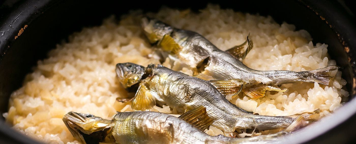 川魚・山菜料理　和田屋