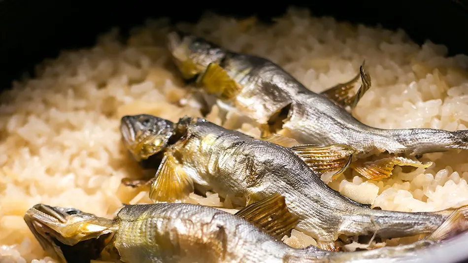 River Fish & Mountain Vegetable Cuisine Wada-ya