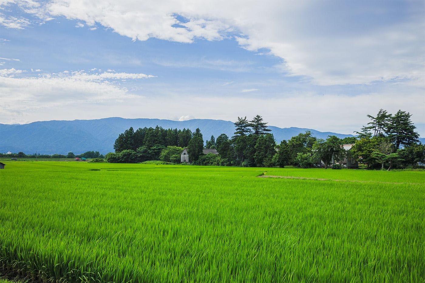 ทิวทัศน์