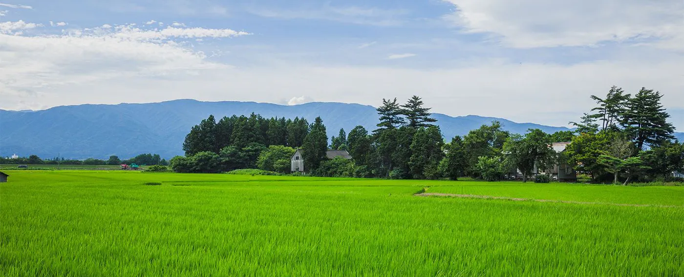 ทิวทัศน์