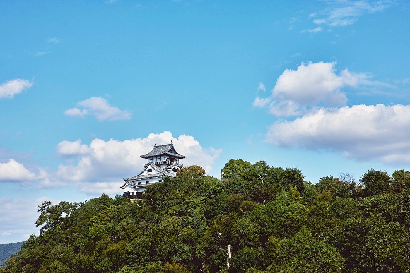 Sejarah dan musim bertemu di Istana Inuyama, Harta Kebangsaan