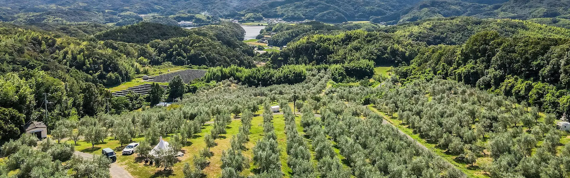 オリーブの宿「澳邸」