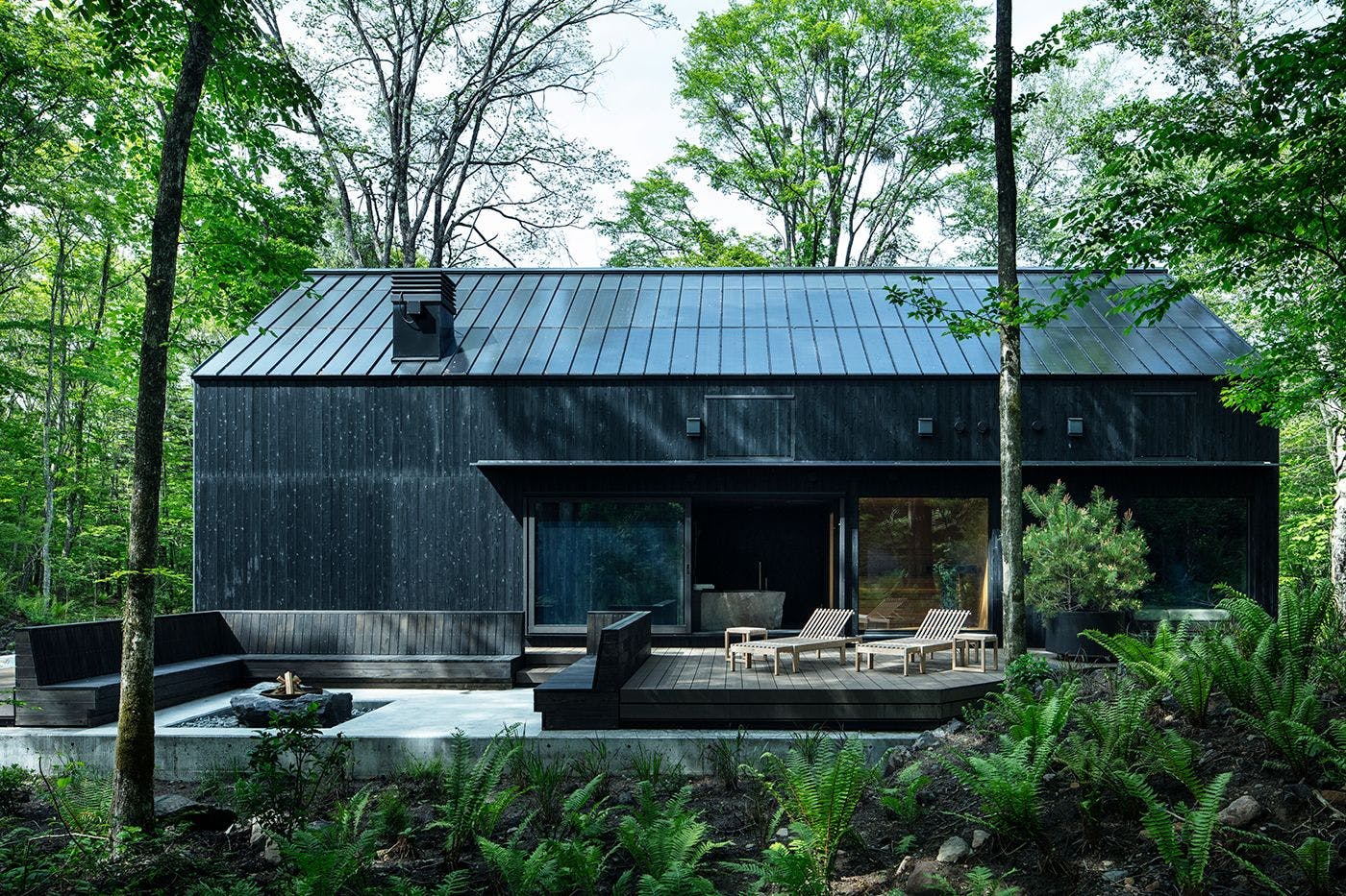 Taman peribadi dalam hutan