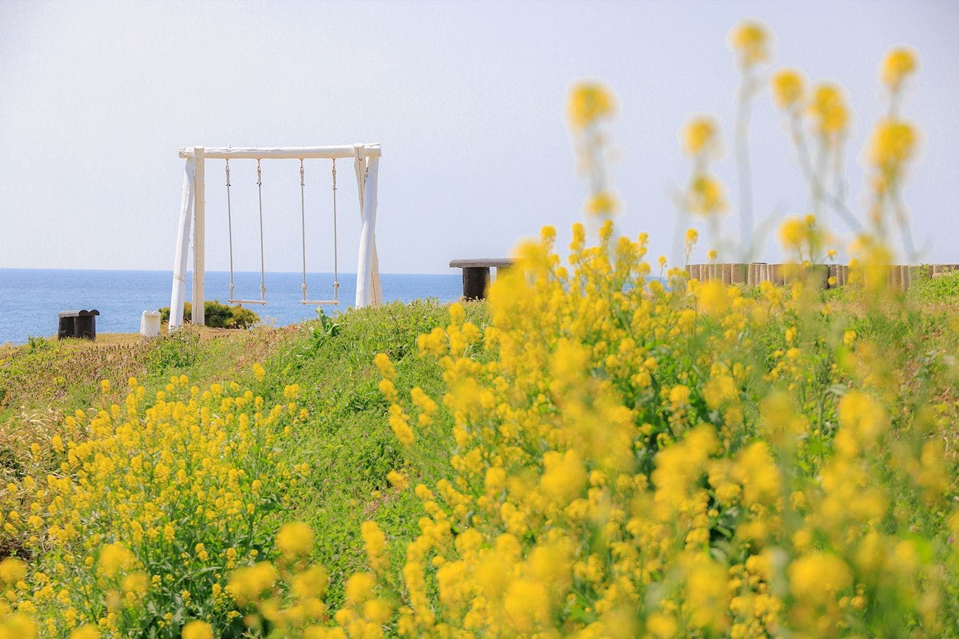 สวนฤดูใบไม้ผลิ