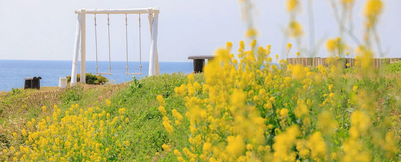 สวนฤดูใบไม้ผลิ